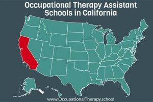Top Occupational Therapy Schools in California 2024 | Best Schools in America: Top Public & Private Options