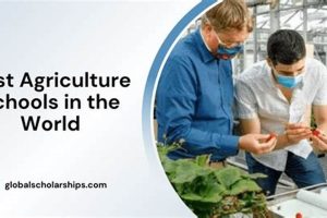 Top 10 Best Agriculture Schools: 2024 Ranking | Best Schools in America: Top Public & Private Options