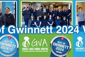 Gwinnett's Best Schools 2024: Top Picks & Awards | Best Schools in America: Top Public & Private Options