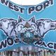 Go Wolverines! West Port High Football Updates | Best Schools in America: Top Public & Private Options