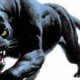 Best Maricopa Wells Middle School: A Guide | Best Schools in America: Top Public & Private Options
