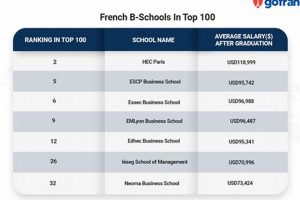 Best B Schools In France | Best Schools in America: Top Public & Private Options