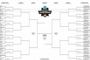 SD High School Basketball 2024 Bracket Best Schools in America: Top Public & Private Options SD High School Basketball 2024 Bracket | Best Schools in America: Top Public & Private Options