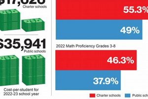 Top NYC Charter Schools: A Parent's Guide Best Schools in America: Top Public & Private Options Top NYC Charter Schools: A Parent's Guide | Best Schools in America: Top Public & Private Options