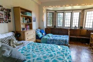 Top Schools With the Best Dorms: 2024 Guide | Best Schools in America: Top Public & Private Options