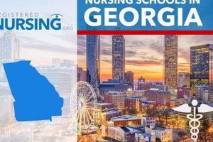 Top Nursing Schools in Georgia: 2024 Guide | Best Schools in America: Top Public & Private Options