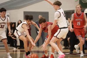 Grandview High Basketball: Team News & Scores | Best Schools in America: Top Public & Private Options