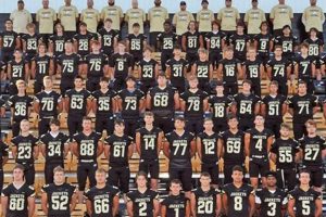 Perrysburg High School Football: Yellow Jackets Updates & More Best Schools in America: Top Public & Private Options Perrysburg High School Football: Yellow Jackets Updates & More | Best Schools in America: Top Public & Private Options