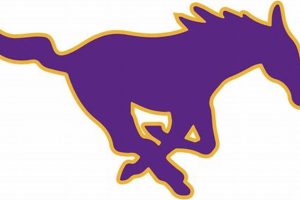 Sunrise Mountain HS Football: Team Pride & Glory | Best Schools in America: Top Public & Private Options