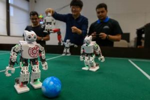 Top 10 Best Schools for Robotics Engineering Programs | Best Schools in America: Top Public & Private Options