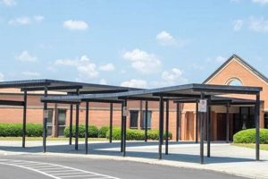 Explore McConnell Middle School: A Parent's Guide | Best Schools in America: Top Public & Private Options