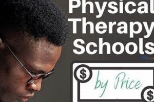 Top 10 Best Physical Therapy Schools: Guide | Best Schools in America: Top Public & Private Options