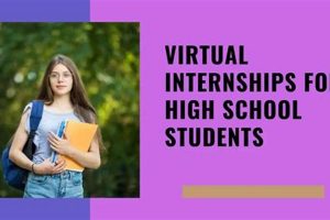 Best Virtual Internships for High School Students: Top Programs | Best Schools in America: Top Public & Private Options