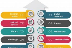 Top Undergraduate Majors for Law School Success | Best Schools in America: Top Public & Private Options