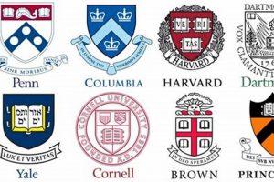 Top Ivy League Med Schools: Ranking & Guide | Best Schools in America: Top Public & Private Options