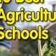 Top US Agriculture Schools: 2024 Rankings | Best Schools in America: Top Public & Private Options