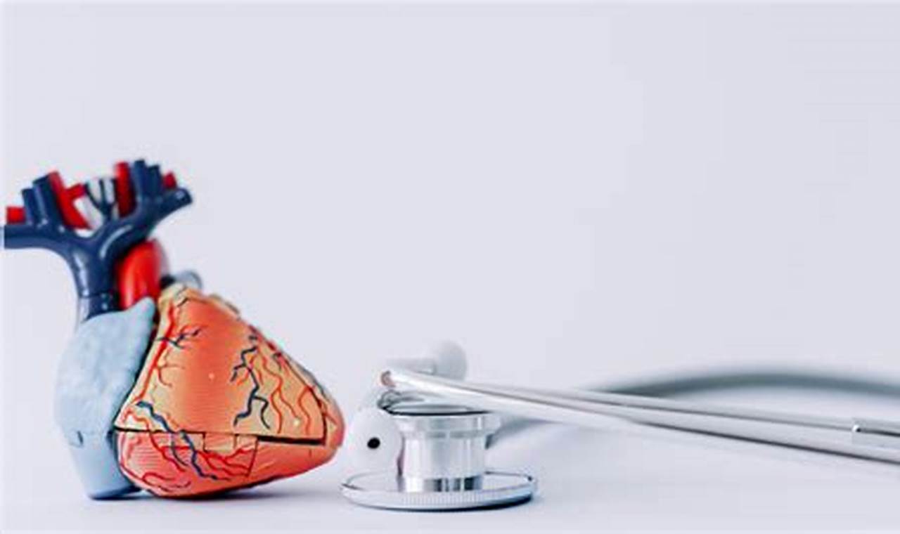 Top Cardiology Medical Schools: Guide & Rankings | Best Schools in America: Top Public & Private Options