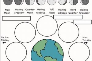 Free Moon Phase PDF Worksheets for Middle School | Best Schools in America: Top Public & Private Options