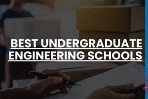 Top Global Engineering Schools: Best Undergraduate Programs | Best Schools in America: Top Public & Private Options