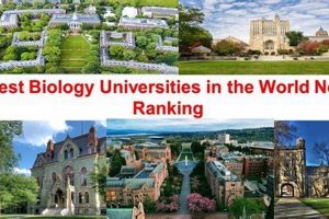 Top 10 Best Biology Undergraduate Schools in 2024 | Best Schools in America: Top Public & Private Options