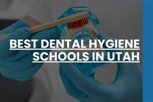 Top Dental Hygiene Schools in Utah: 2024 Guide | Best Schools in America: Top Public & Private Options