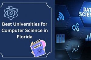 Top 5: Best Florida Schools for Computer Science Degrees | Best Schools in America: Top Public & Private Options
