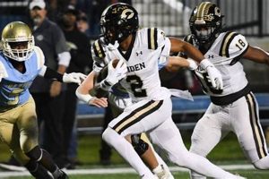 Daniel High Football: Latest Scores & Updates | Best Schools in America: Top Public & Private Options