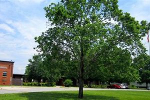 Central Davidson Middle School Best Schools in America: Top Public & Private Options Central Davidson Middle School | Best Schools in America: Top Public & Private Options