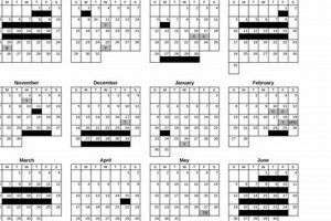 Top Rincon Vista Middle School: A Guide | Best Schools in America: Top Public & Private Options