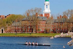 Top Engineering Schools in New England 2024 Best Schools in America: Top Public & Private Options Top Engineering Schools in New England 2024 | Best Schools in America: Top Public & Private Options
