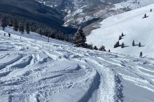 Top 5 Ski Schools in Colorado: 2024 Guide Best Schools in America: Top Public & Private Options Top 5 Ski Schools in Colorado: 2024 Guide | Best Schools in America: Top Public & Private Options