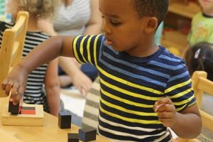 Top Montessori Schools in Northern VA: 2024 Guide Best Schools in America: Top Public & Private Options Top Montessori Schools in Northern VA: 2024 Guide | Best Schools in America: Top Public & Private Options