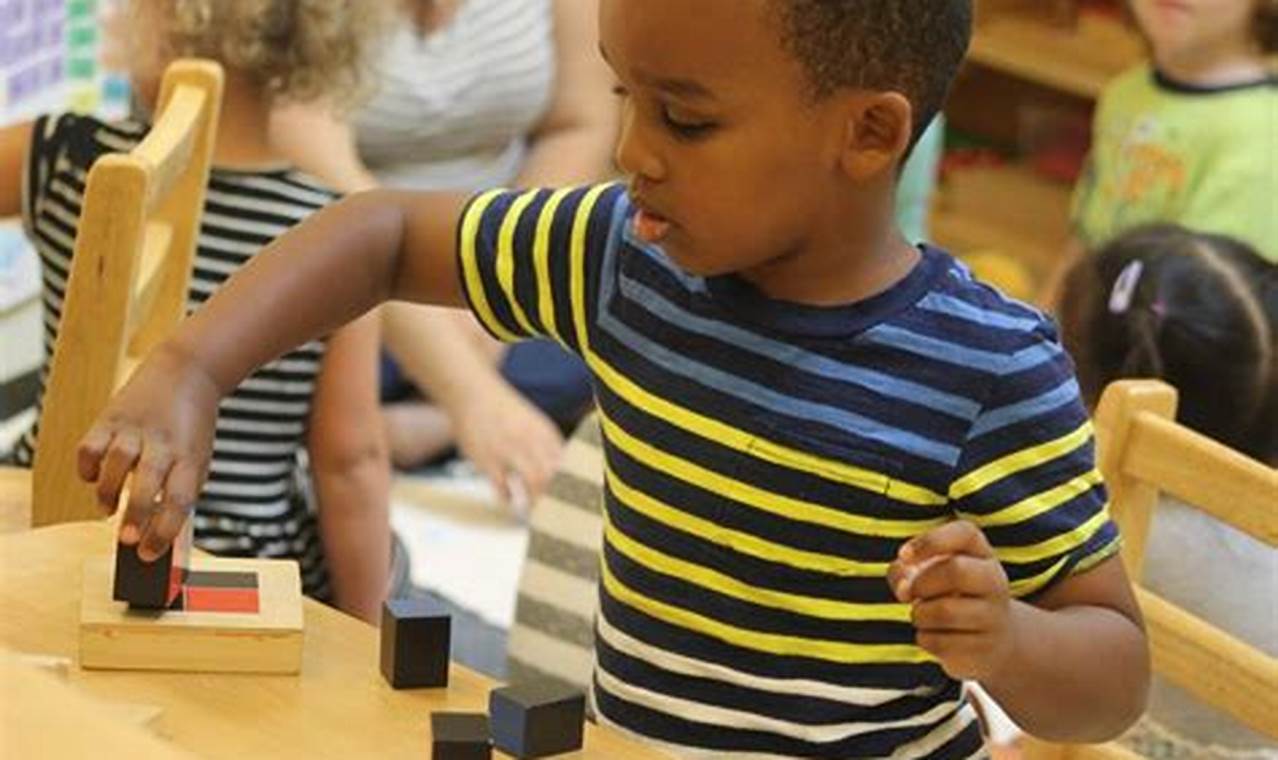 Top Montessori Schools in Northern VA: 2024 Guide | Best Schools in America: Top Public & Private Options