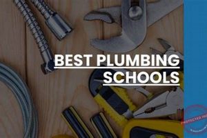 Find the Best Plumbing Schools: Top Trade Programs Best Schools in America: Top Public & Private Options Find the Best Plumbing Schools: Top Trade Programs | Best Schools in America: Top Public & Private Options
