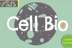 Top Free Online High School Biology II Courses Best Schools in America: Top Public & Private Options Top Free Online High School Biology II Courses | Best Schools in America: Top Public & Private Options