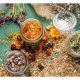 Top 10 Best Herbalist Schools Online (2024) | Best Schools in America: Top Public & Private Options