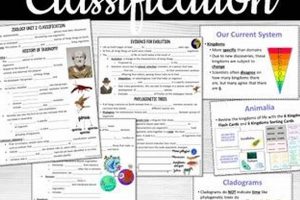 Exploring High School Zoology: A Curriculum Guide | Best Schools in America: Top Public & Private Options