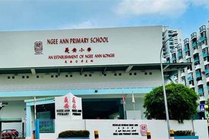 Top Singapore Primary Schools: 2024 Guide Best Schools in America: Top Public & Private Options Top Singapore Primary Schools: 2024 Guide | Best Schools in America: Top Public & Private Options