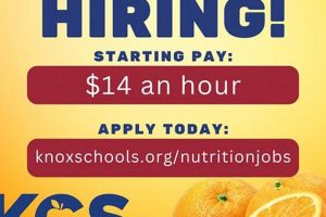 Now Hiring: Knox County Schools Jobs & Careers Best Schools in America: Top Public & Private Options Now Hiring: Knox County Schools Jobs & Careers | Best Schools in America: Top Public & Private Options
