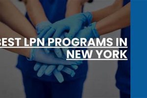 Top LPN Schools in New York: 2024 Guide Best Schools in America: Top Public & Private Options Top LPN Schools in New York: 2024 Guide | Best Schools in America: Top Public & Private Options