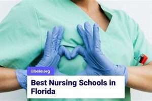 Top 10 East Coast Nursing Schools (2024) Best Schools in America: Top Public & Private Options Top 10 East Coast Nursing Schools (2024) | Best Schools in America: Top Public & Private Options