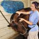Best Equine Massage Therapy Schools | Best Schools in America: Top Public & Private Options