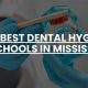 Top Dental Hygiene Schools in Mississippi 2024 | Best Schools in America: Top Public & Private Options