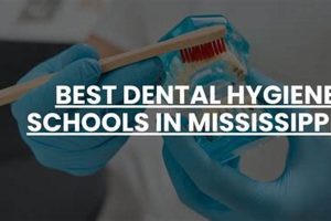 Top Dental Hygiene Schools in Mississippi 2024 | Best Schools in America: Top Public & Private Options