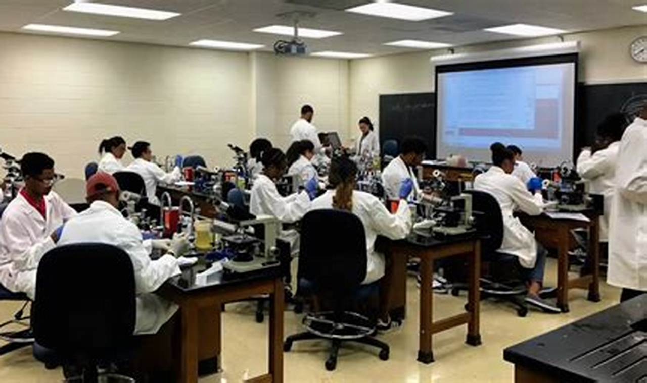 Micro Class College Top Best Schools for Microbiology Programs 2024