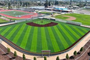 Greenville High School Mi Baseball Field Renovation | Best Schools in America: Top Public & Private Options