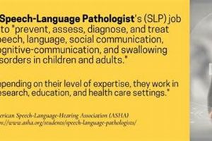 Top 10 Best Speech Pathology Grad Schools 2024 | Best Schools in America: Top Public & Private Options