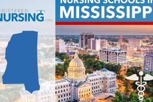 Top 10 Nursing Schools in Mississippi 2024 | Best Schools in America: Top Public & Private Options