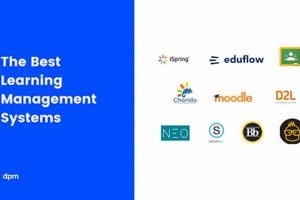 Top LMS for Schools: Best School Solutions | Best Schools in America: Top Public & Private Options