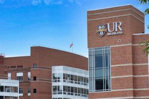 Top Medical Schools in New York: 2024 Guide Best Schools in America: Top Public & Private Options Top Medical Schools in New York: 2024 Guide | Best Schools in America: Top Public & Private Options